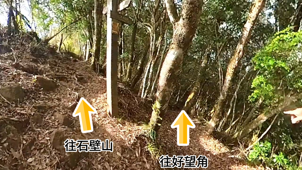 20241120~石壁山、嘉南雲峰登山步道｜南側登山口起登→