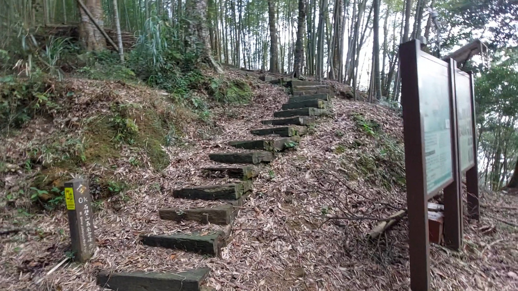 20241120~石壁山、嘉南雲峰登山步道｜南側登山口起登→