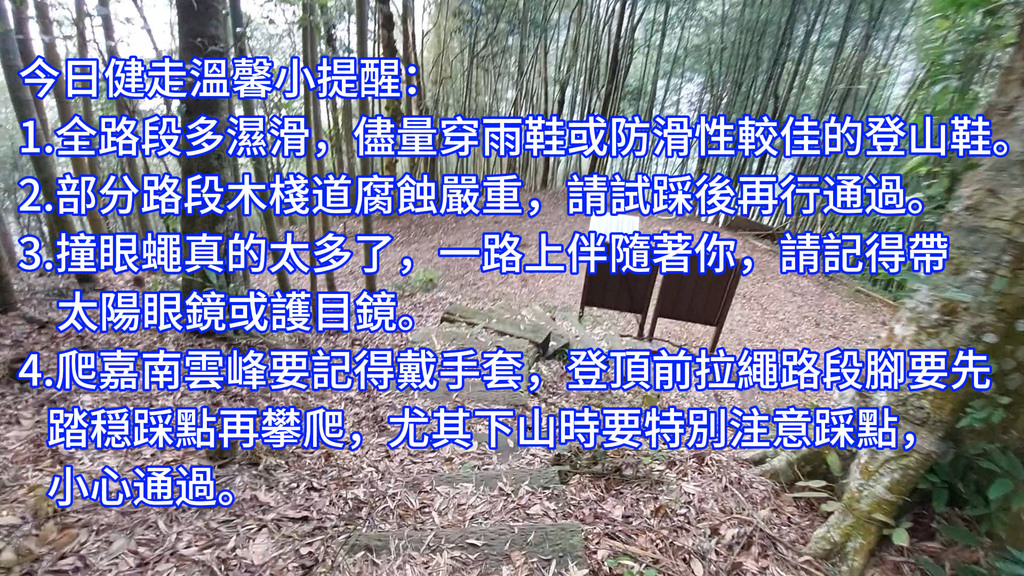 20241120~石壁山、嘉南雲峰登山步道｜南側登山口起登→