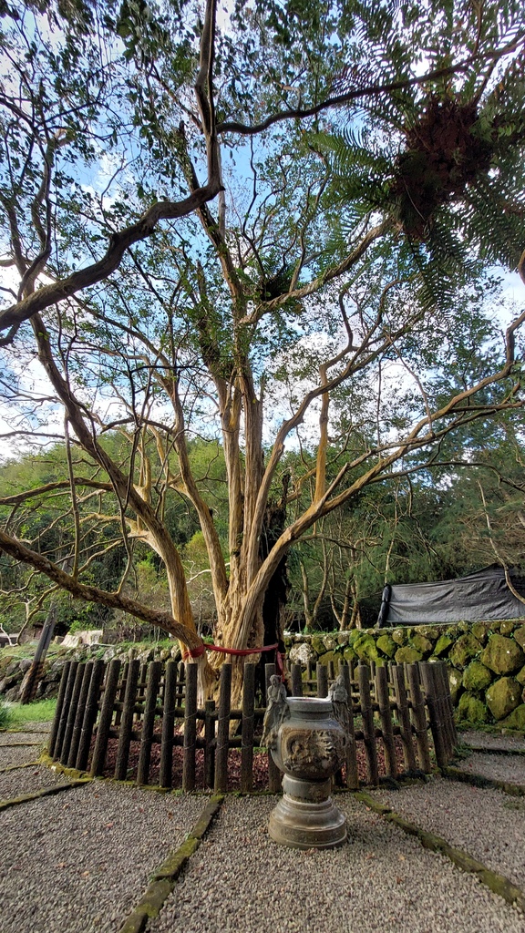 20241120~石壁山、嘉南雲峰登山步道|南側登山口起登→ 20241120~石壁山、嘉南雲峰登山步道|南側登山口起登→