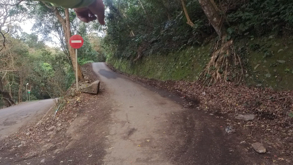 ｜走在一條季節限定隨時會消失的工程便道｜北港溪峽谷工程便道全