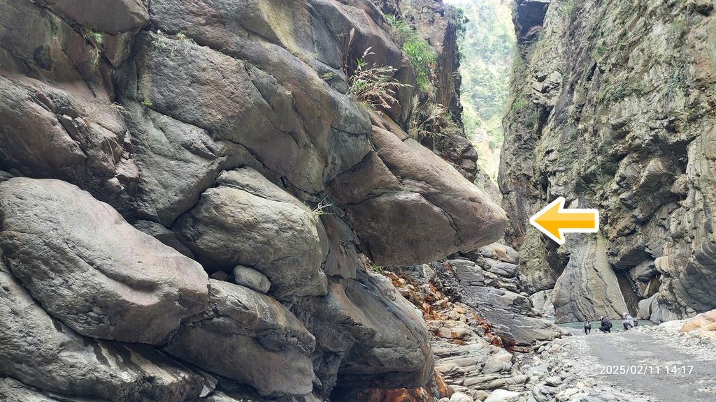 ｜走在一條季節限定隨時會消失的工程便道｜北港溪峽谷工程便道全