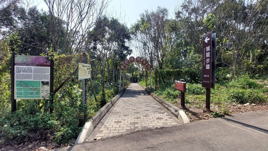 這條步道藏著巨龍？撼龍步道春季限定花海｜探索唯心聖教學院神秘