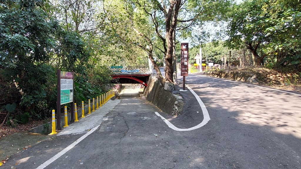 這條步道藏著巨龍？撼龍步道春季限定花海｜探索唯心聖教學院神秘