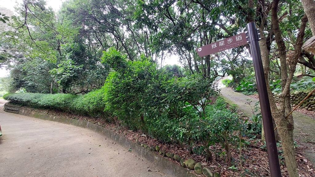 這條步道藏著巨龍？撼龍步道春季限定花海｜探索唯心聖教學院神秘