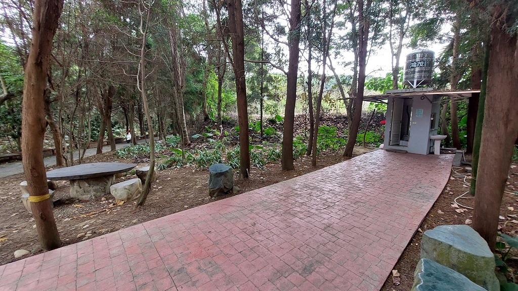 這條步道藏著巨龍？撼龍步道春季限定花海｜探索唯心聖教學院神秘