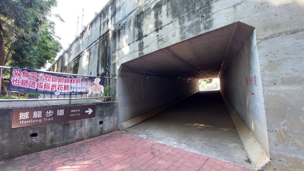 這條步道藏著巨龍？撼龍步道春季限定花海｜探索唯心聖教學院神秘