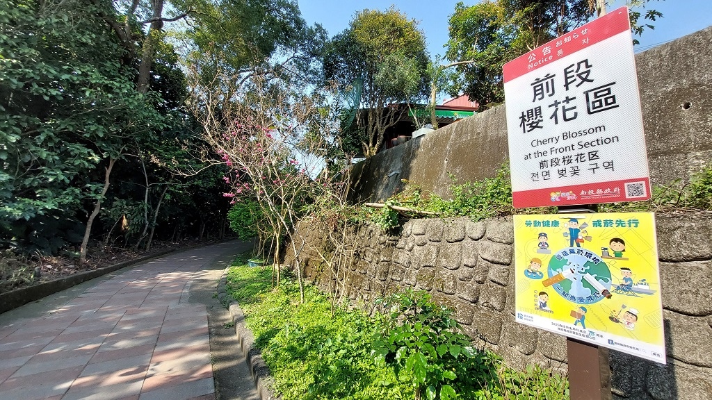 這條步道藏著巨龍？撼龍步道春季限定花海｜探索唯心聖教學院神秘