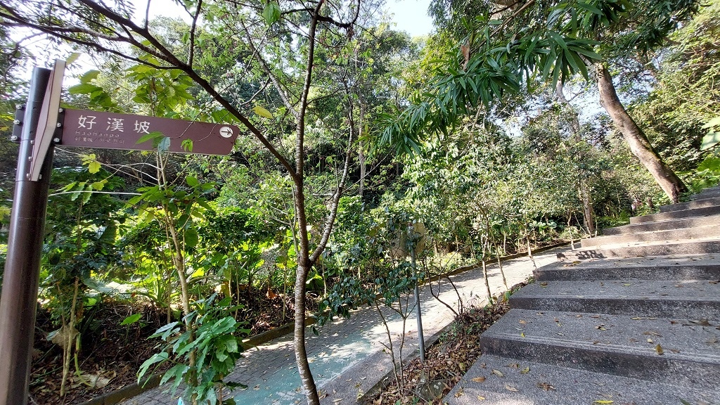 這條步道藏著巨龍？撼龍步道春季限定花海｜探索唯心聖教學院神秘