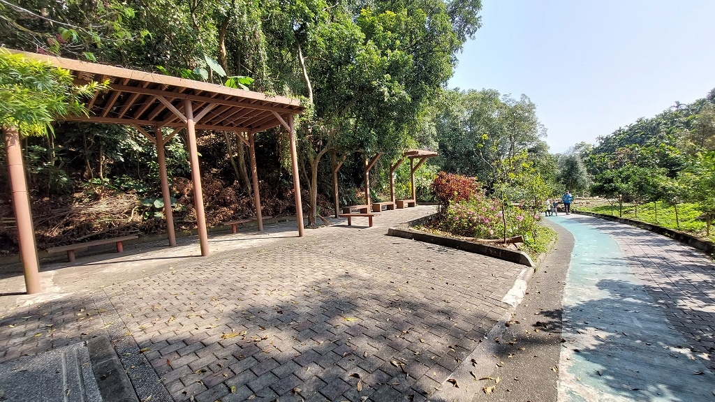 這條步道藏著巨龍？撼龍步道春季限定花海｜探索唯心聖教學院神秘