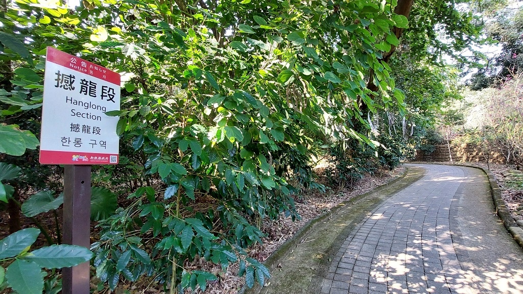 這條步道藏著巨龍？撼龍步道春季限定花海｜探索唯心聖教學院神秘