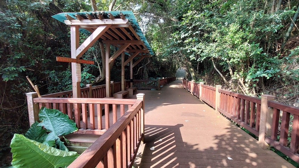 這條步道藏著巨龍？撼龍步道春季限定花海｜探索唯心聖教學院神秘