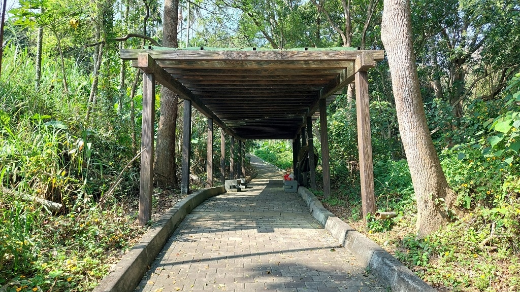 這條步道藏著巨龍？撼龍步道春季限定花海｜探索唯心聖教學院神秘