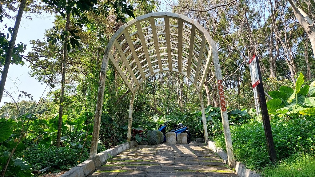 這條步道藏著巨龍？撼龍步道春季限定花海｜探索唯心聖教學院神秘