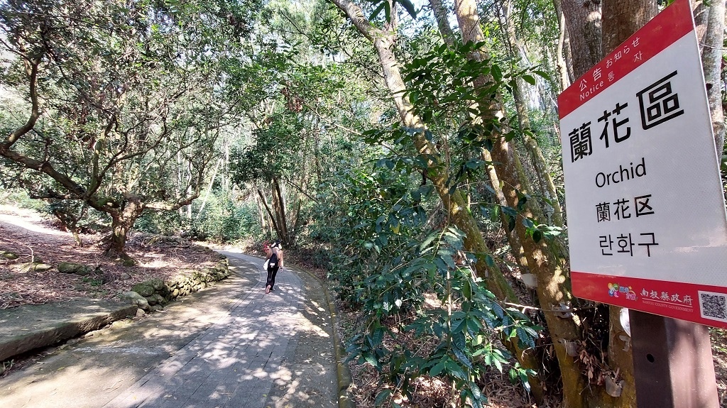 這條步道藏著巨龍？撼龍步道春季限定花海｜探索唯心聖教學院神秘