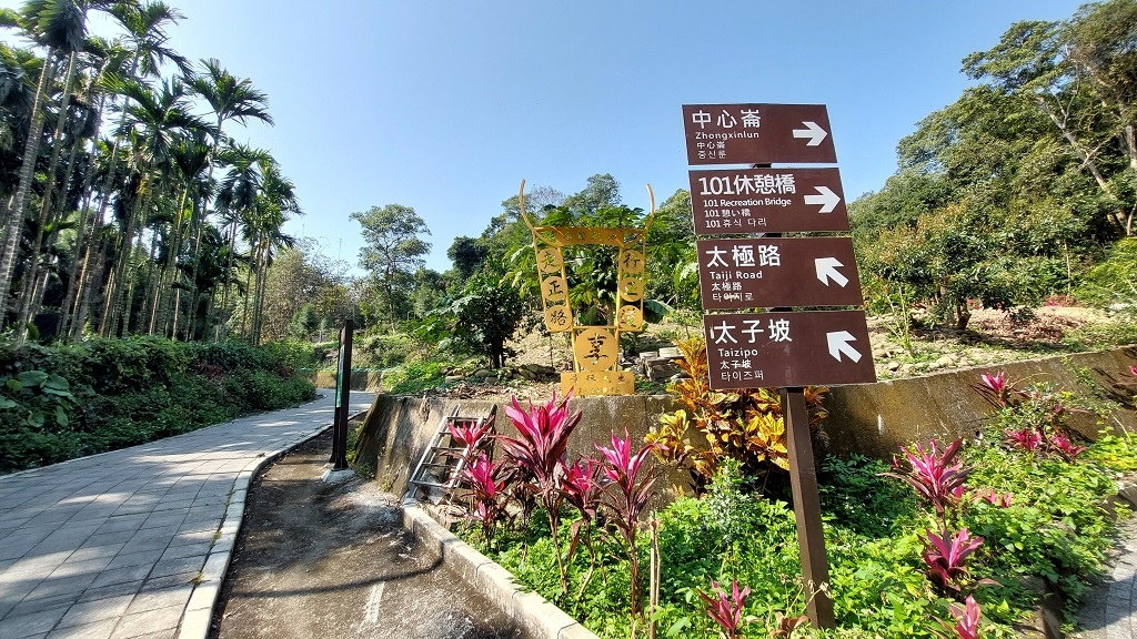 這條步道藏著巨龍？撼龍步道春季限定花海｜探索唯心聖教學院神秘