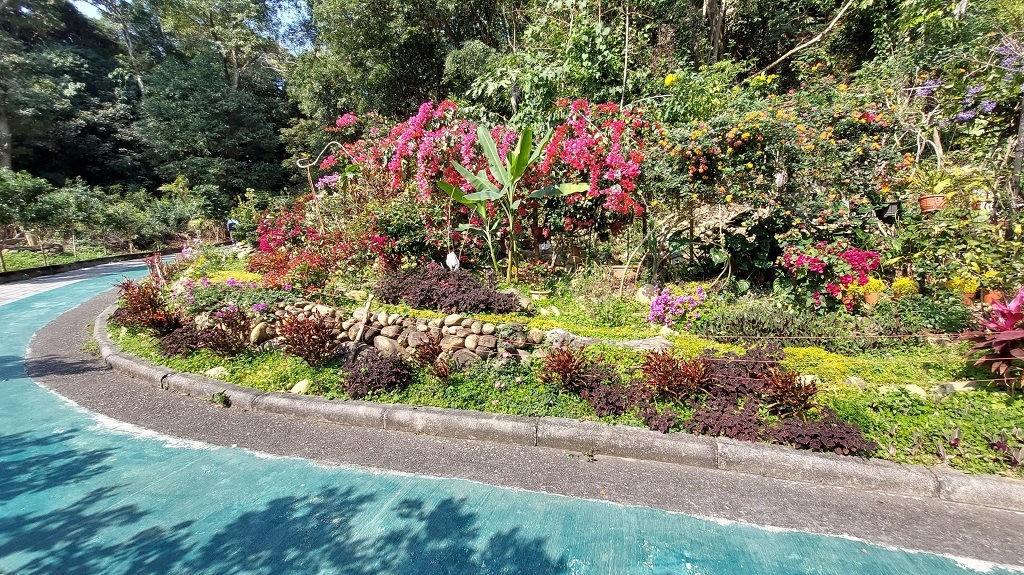 這條步道藏著巨龍？撼龍步道春季限定花海｜探索唯心聖教學院神秘