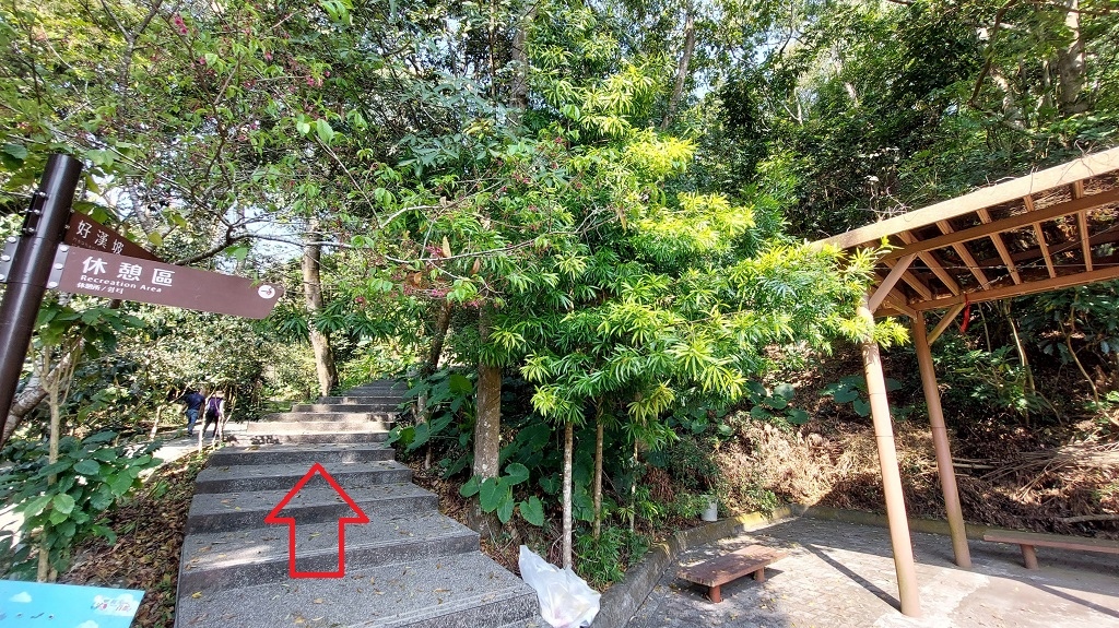 這條步道藏著巨龍？撼龍步道春季限定花海｜探索唯心聖教學院神秘