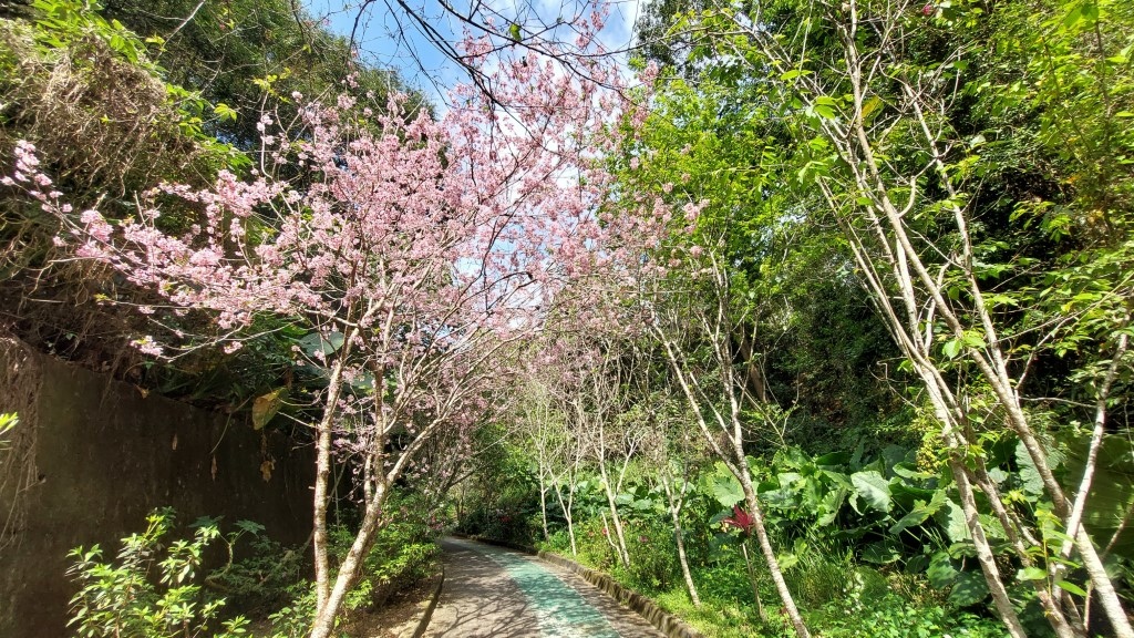 20250302_094754 (自訂).jpg