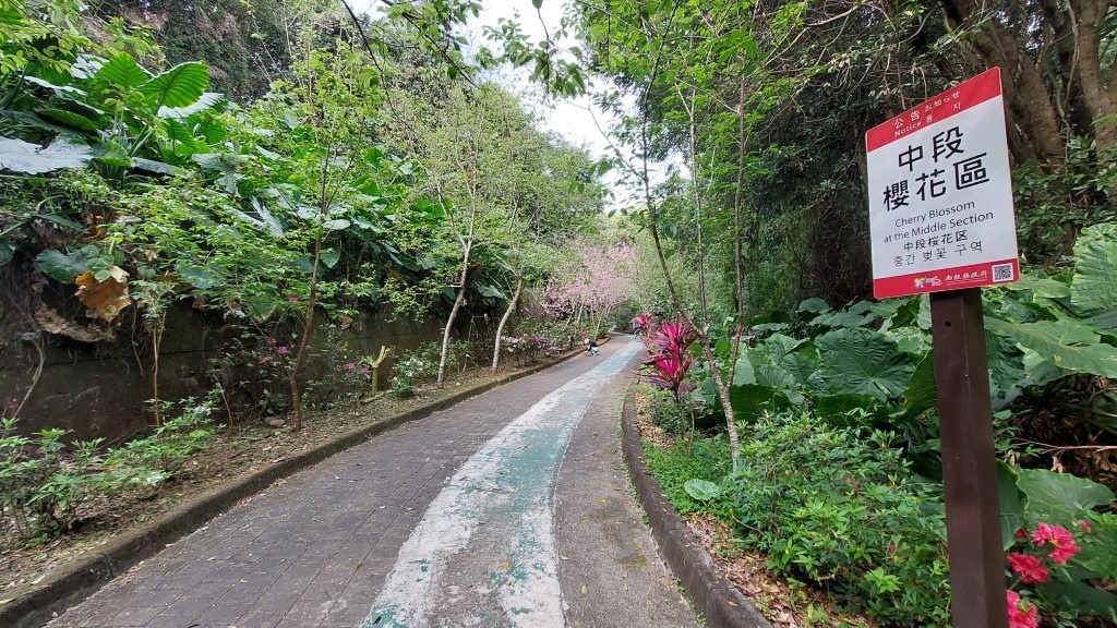 20250302_085549 (自訂).jpg