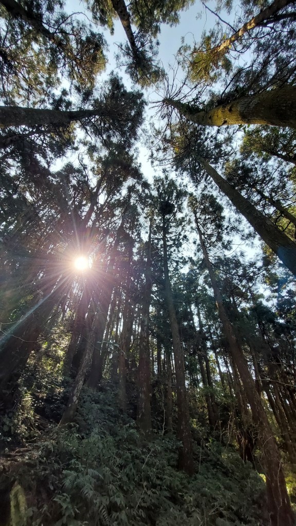 20250309_100811 (自訂).jpg 20250309_100811 (自訂).jpg