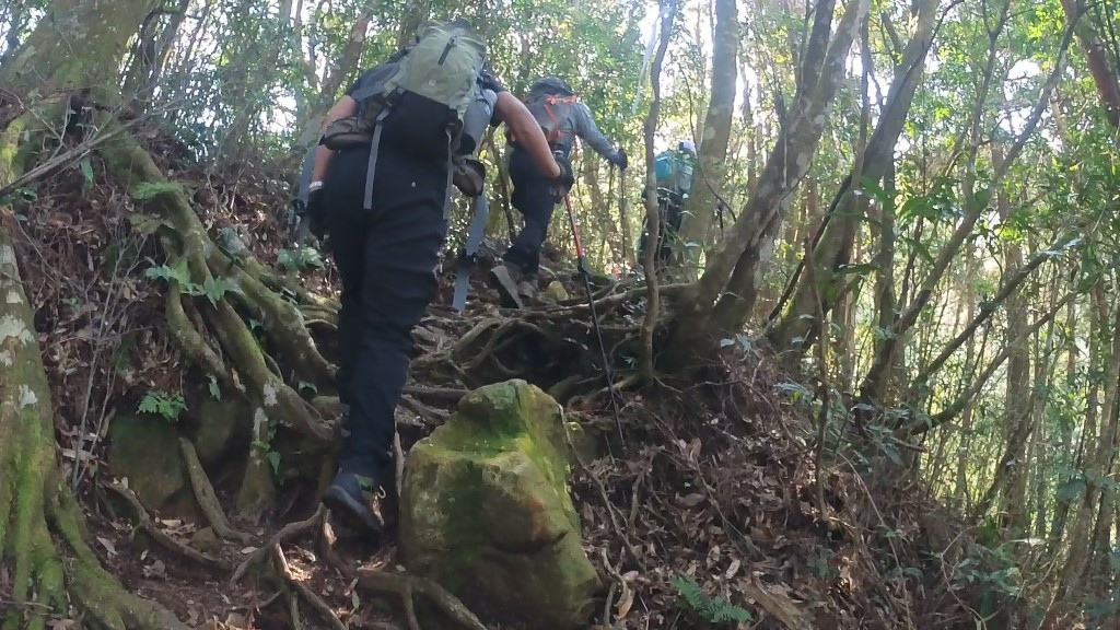 金柑樹山(4) (自訂).jpg 金柑樹山(4) (自訂).jpg