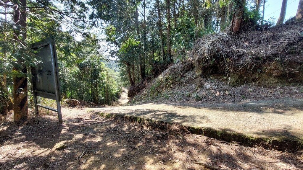 20250309_105343 (自訂).jpg 20250309_105343 (自訂).jpg