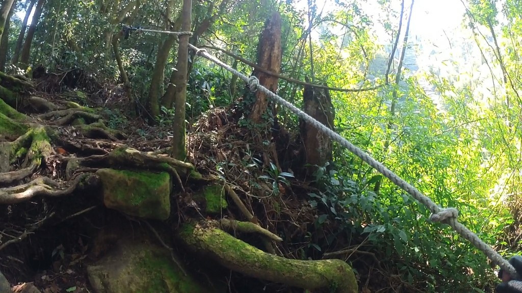 金柑樹山(5) (自訂).jpg 金柑樹山(5) (自訂).jpg