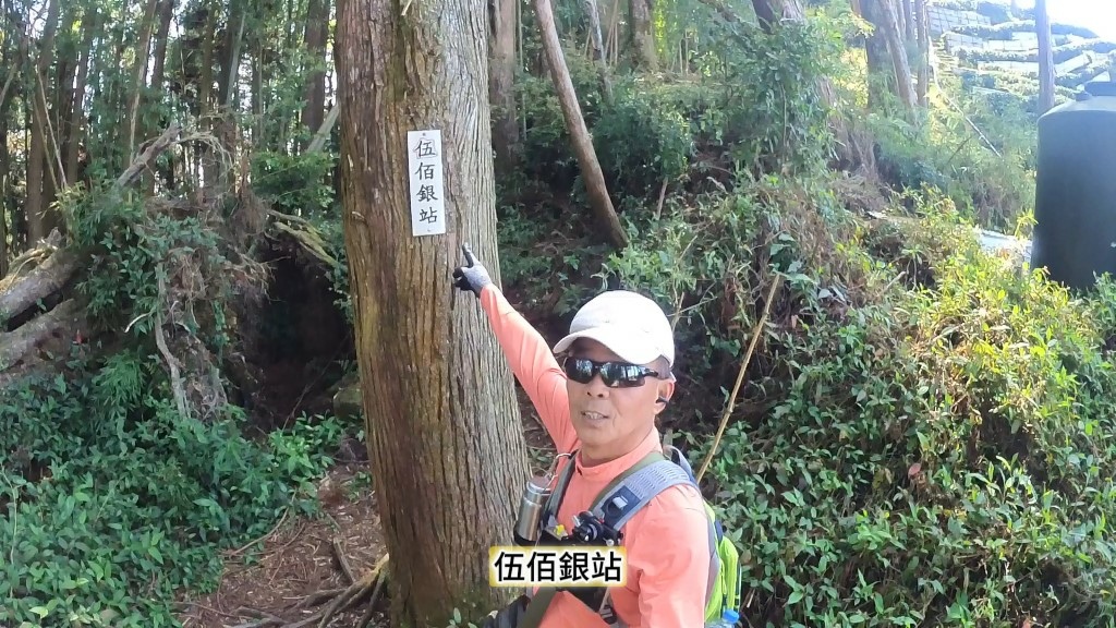 金柑樹山(8) (自訂).jpg 金柑樹山(8) (自訂).jpg