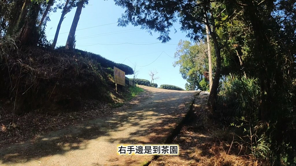 金柑樹山(10) (自訂).jpg 金柑樹山(10) (自訂).jpg