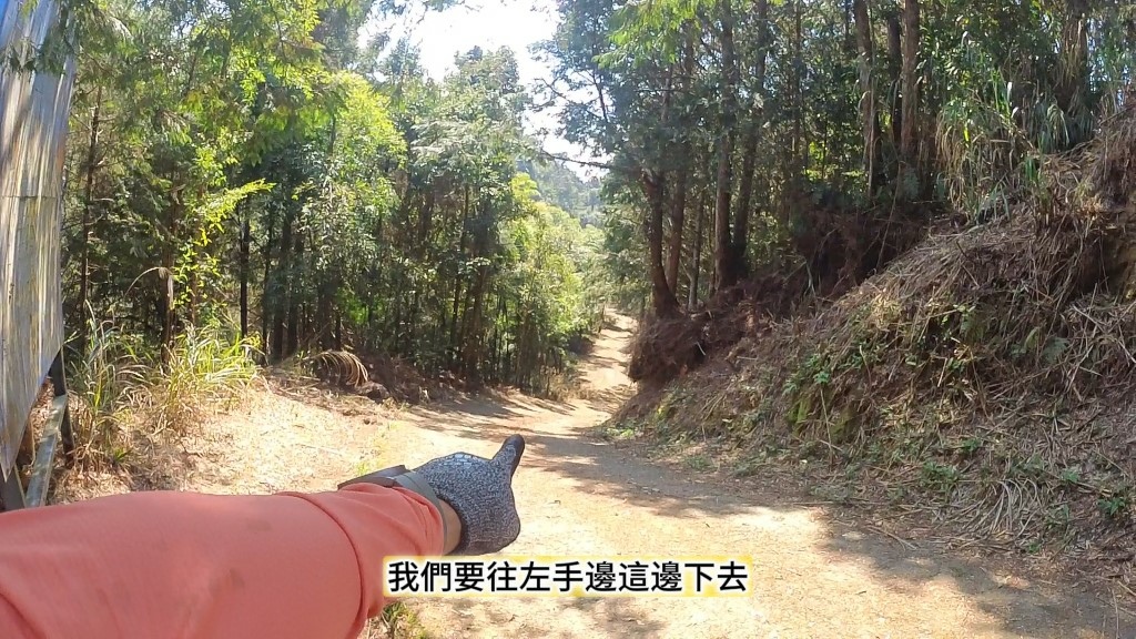 金柑樹山(11) (自訂).jpg 金柑樹山(11) (自訂).jpg