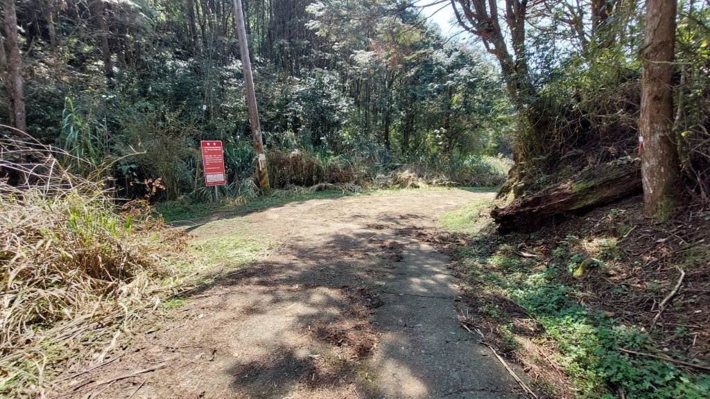 20250309_105647 (自訂).jpg 20250309_105647 (自訂).jpg