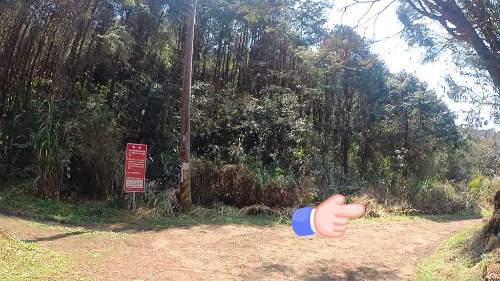 金柑樹山(12) (自訂).jpg 金柑樹山(12) (自訂).jpg