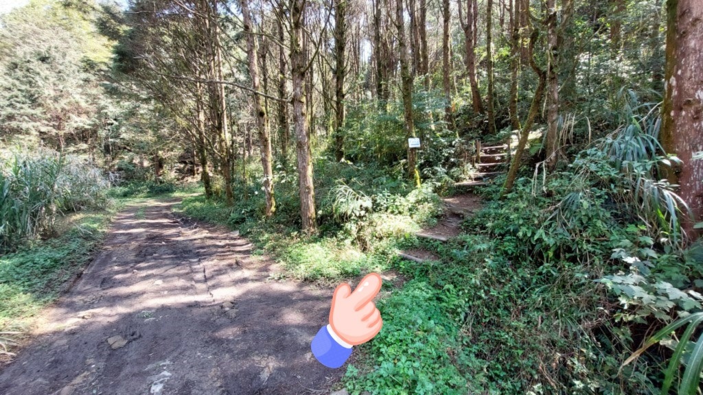 金柑樹山(14) (自訂).jpg 金柑樹山(14) (自訂).jpg