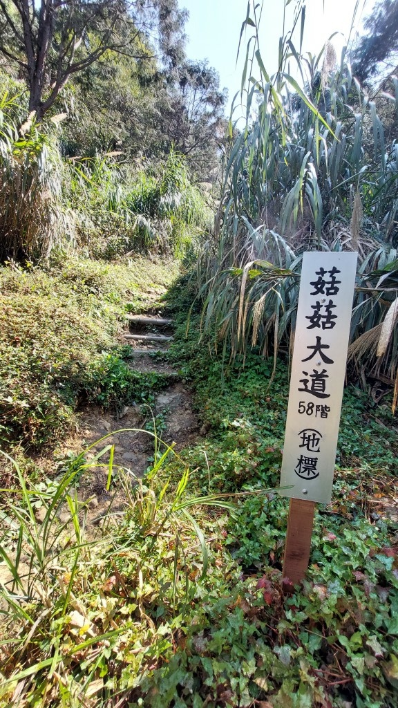 20250309_110600 (自訂).jpg 20250309_110600 (自訂).jpg