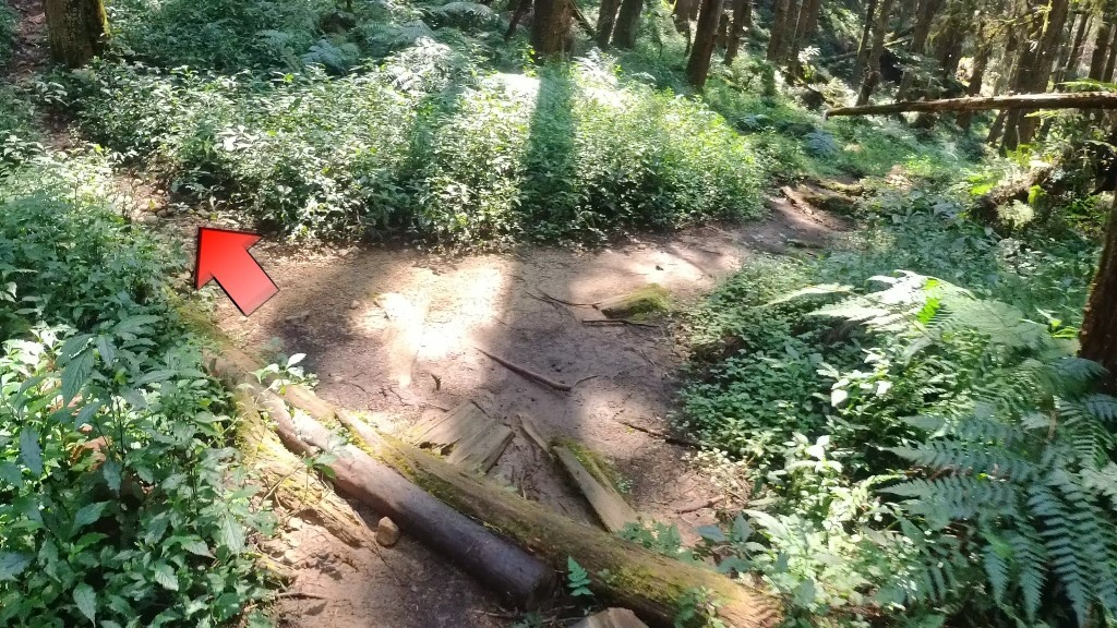 金柑樹山(20) (自訂).jpg 金柑樹山(20) (自訂).jpg