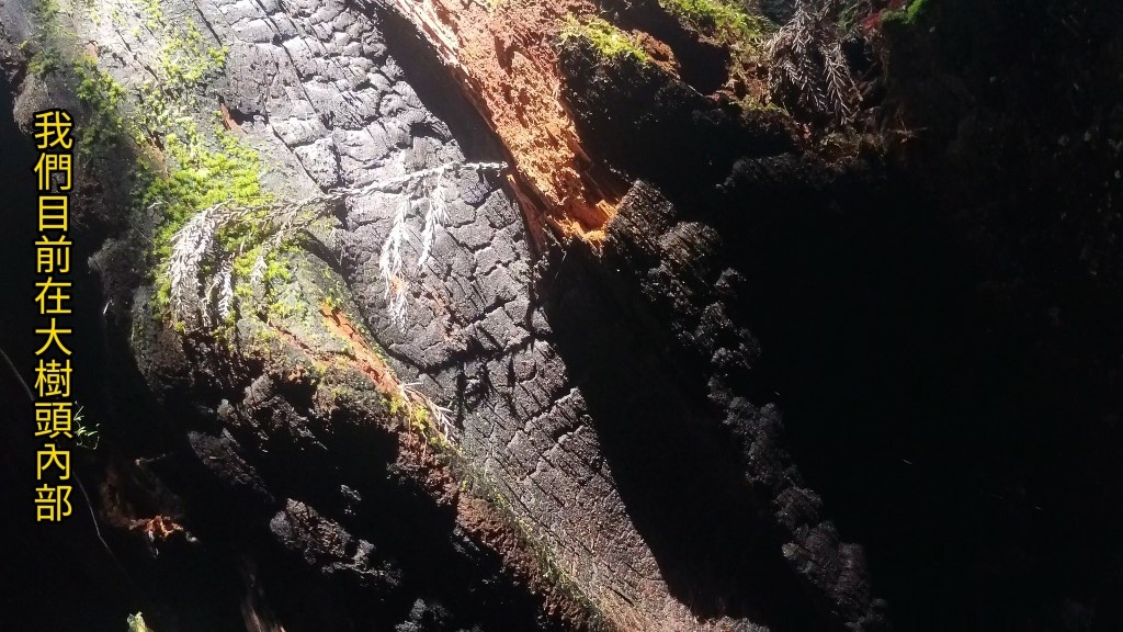 金柑樹山(22) (自訂).jpg 金柑樹山(22) (自訂).jpg