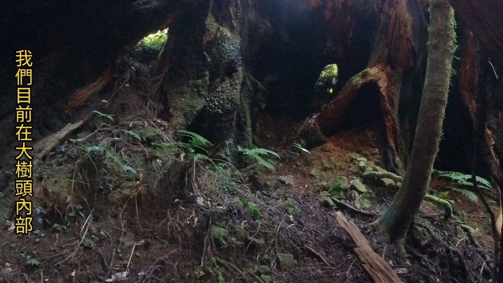 金柑樹山(23) (自訂).jpg 金柑樹山(23) (自訂).jpg