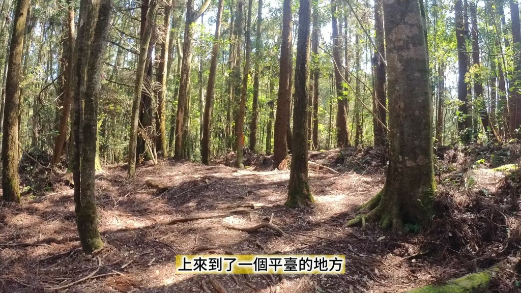 金柑樹山(24) (自訂).jpg 金柑樹山(24) (自訂).jpg