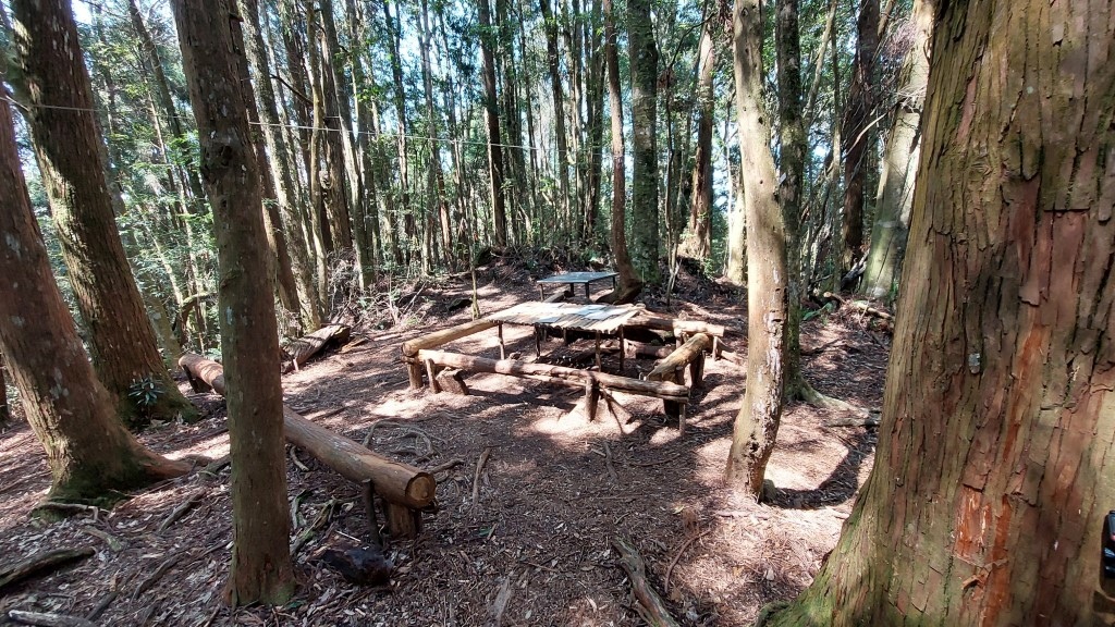 20250309_114937 (自訂).jpg 20250309_114937 (自訂).jpg