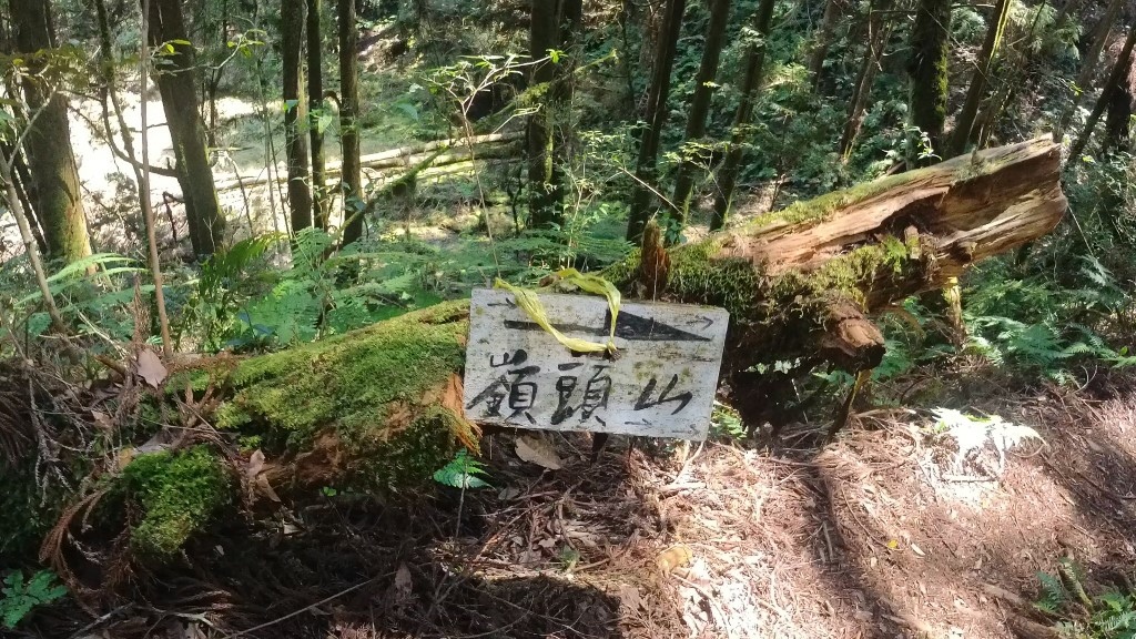 金柑樹山(26) (自訂).jpg 金柑樹山(26) (自訂).jpg