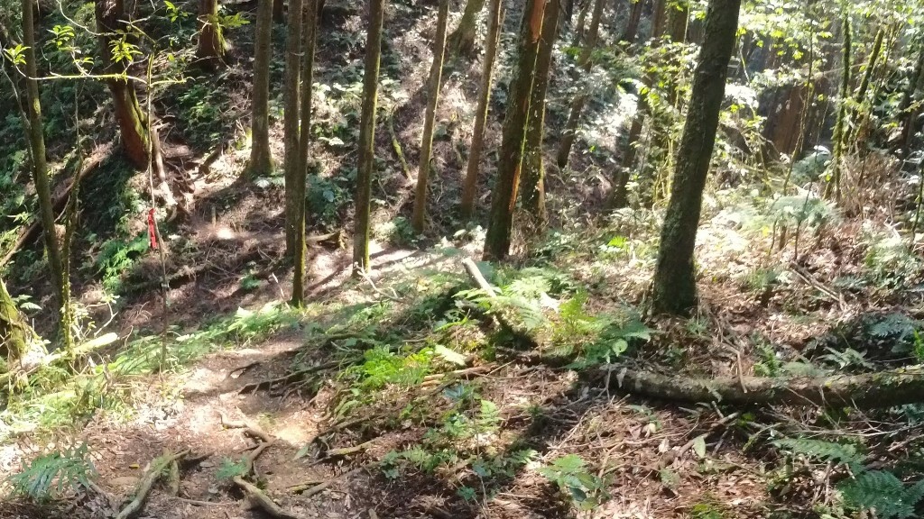 金柑樹山(27) (自訂).jpg 金柑樹山(27) (自訂).jpg