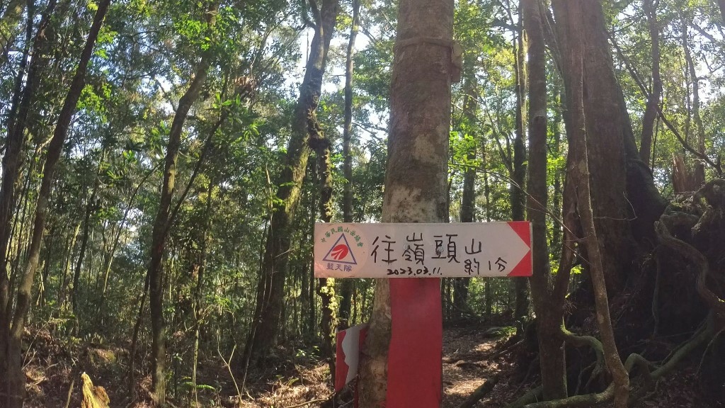 金柑樹山(28) (自訂).jpg 金柑樹山(28) (自訂).jpg