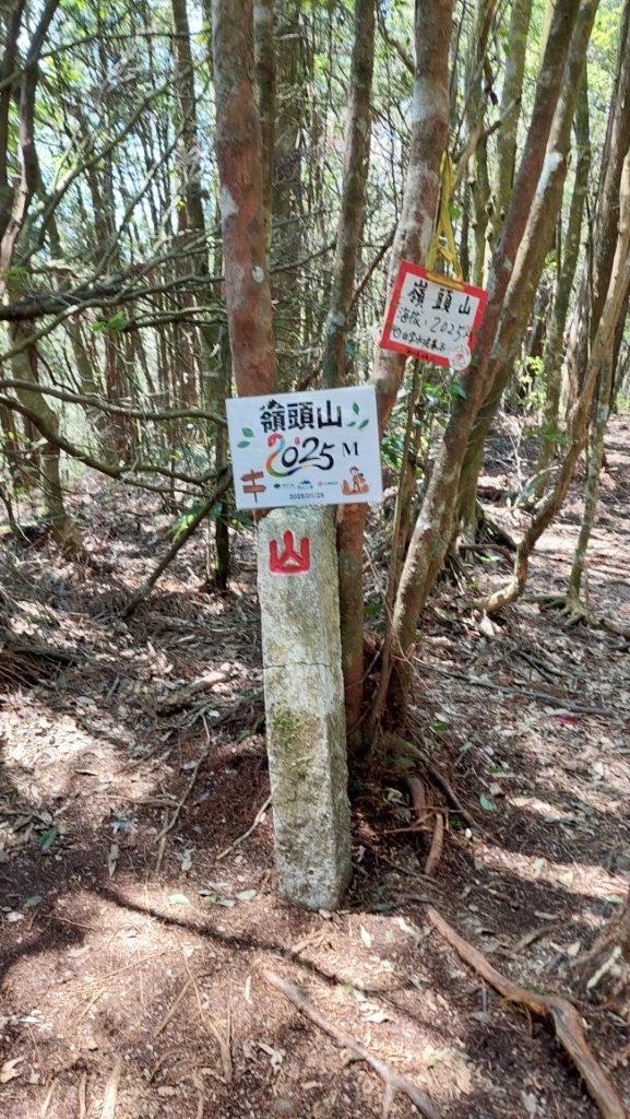 20250309_115345 (自訂).jpg 20250309_115345 (自訂).jpg