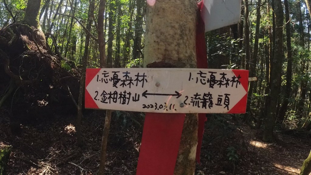 金柑樹山(30) (自訂).jpg 金柑樹山(30) (自訂).jpg