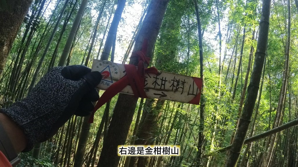 金柑樹山(36) (自訂).jpg 金柑樹山(36) (自訂).jpg