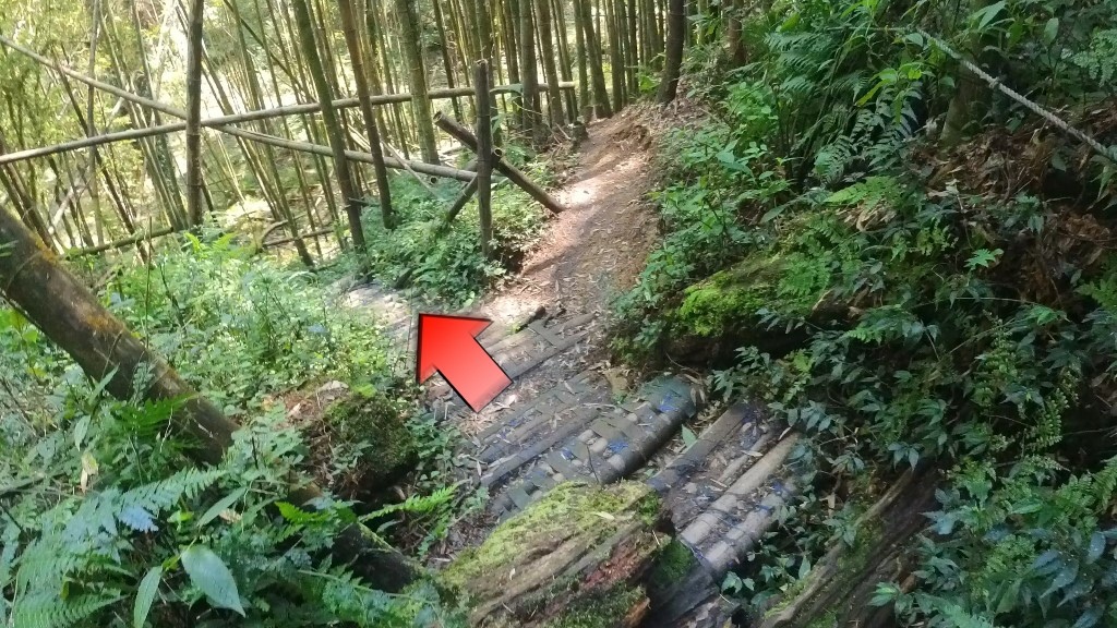 金柑樹山(37) (自訂).jpg 金柑樹山(37) (自訂).jpg