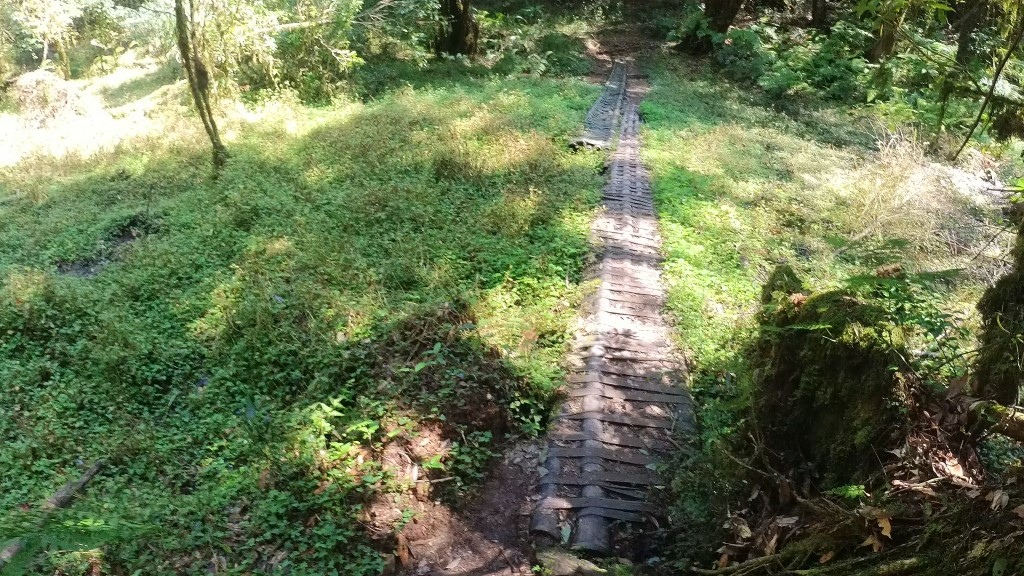 金柑樹山(38) (自訂).jpg 金柑樹山(38) (自訂).jpg