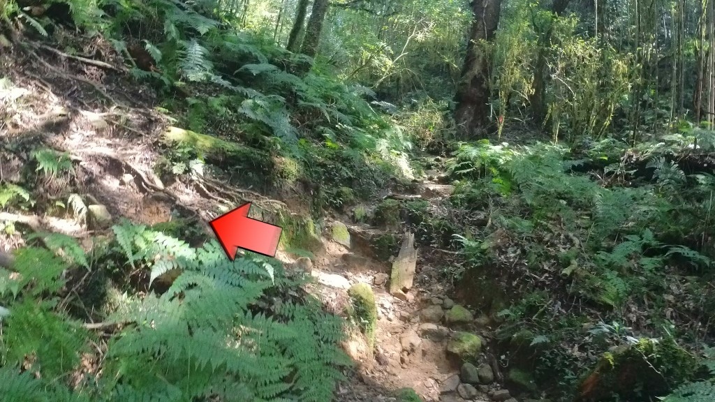 金柑樹山(39) (自訂).jpg 金柑樹山(39) (自訂).jpg