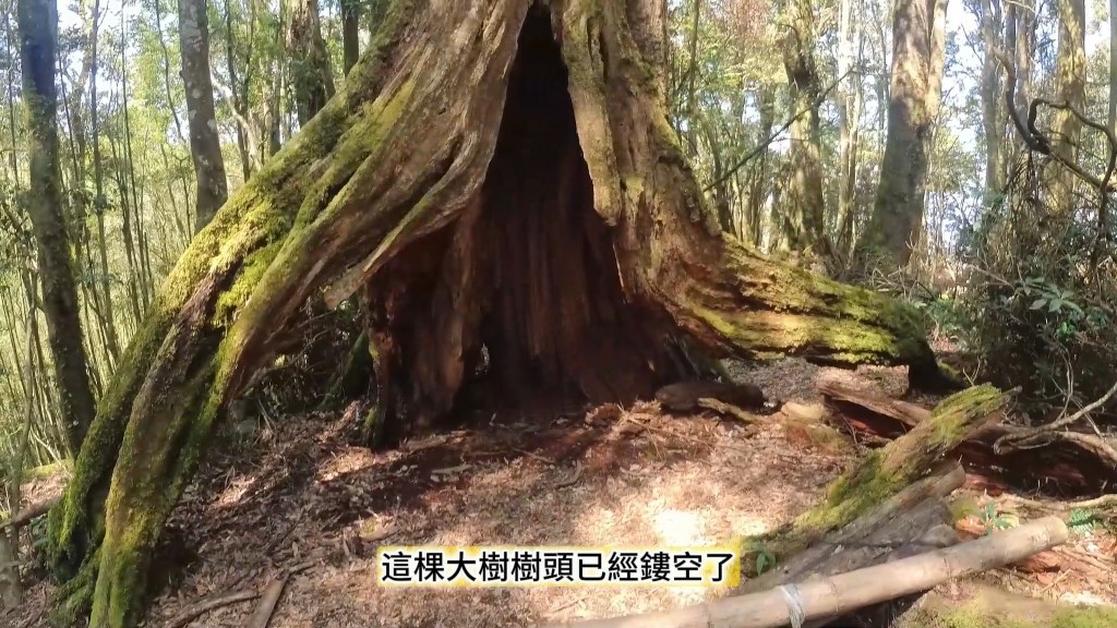 金柑樹山(40) (自訂).jpg 金柑樹山(40) (自訂).jpg